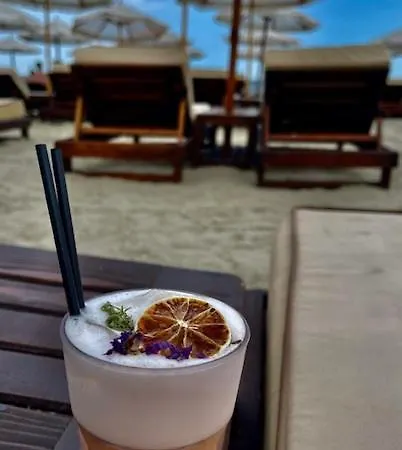 Vcv Management * 那沃达利