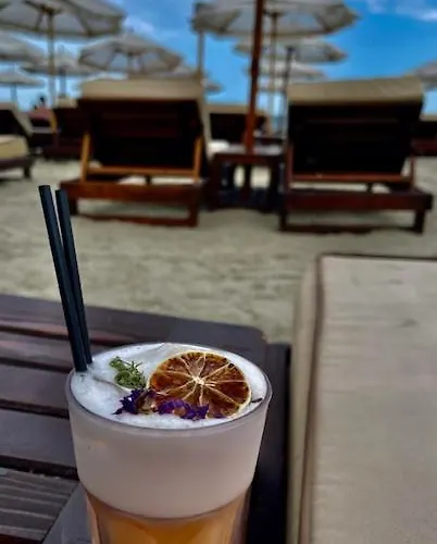 Vcv Management * Navodari